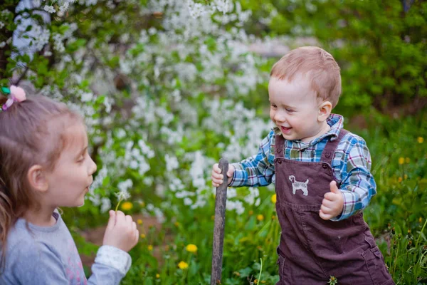 Αγόρι Και Κορίτσι Έναν Κήπο Άνθη Κερασιάς — Φωτογραφία Αρχείου