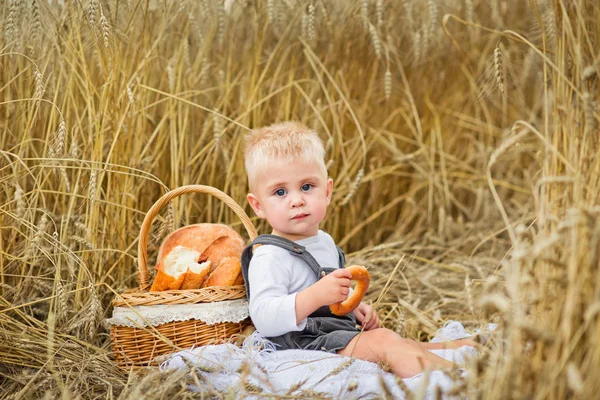 Ragazzo Picnic Campo Grano Mangia Prodotti Pane Panini — Foto Stock