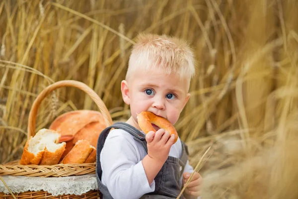 Ragazzo Picnic Campo Grano Mangia Prodotti Pane Panini — Foto Stock