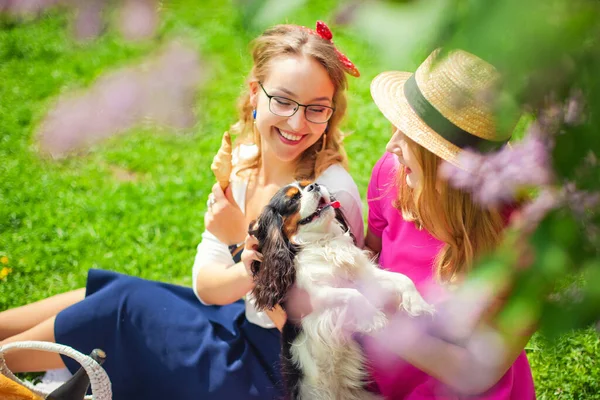 Twee Vrienden Een Picknick Een Bloeiende Tuin Met Een Hond — Stockfoto