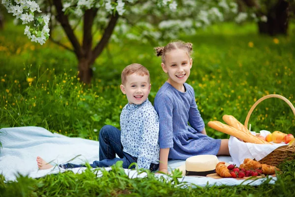 Діти насолоджуються пікніком у весняному саду. Діти розважаються, обідаючи на відкритому повітрі в літньому парку. Син і дочка їдять фрукти і бутерброди на барвистій ковдрі . — стокове фото