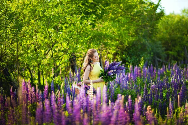 Uma Menina Bonita Nova Vestido Amarelo Prende Buquê Grande Lupins — Fotografia de Stock