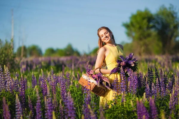 Una Giovane Bella Ragazza Abito Giallo Tiene Cesto Lupini Viola — Foto Stock