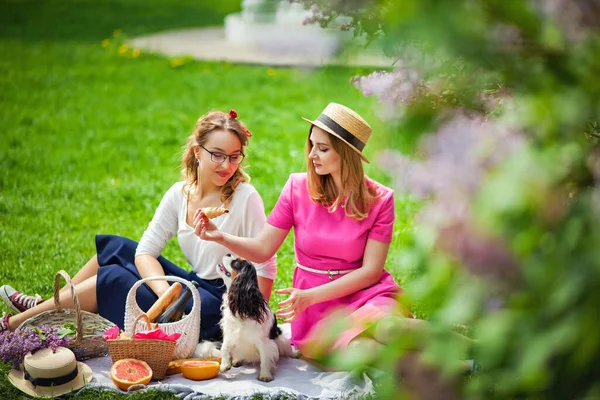 Meninas Felizes Jardim Lilás Piquenique Com Cão — Fotografia de Stock