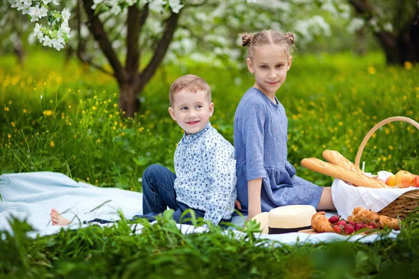 Діти Насолоджуються Пікніком Весняному Саду Діти Розважаються Обідаючи Відкритому Повітрі — стокове фото