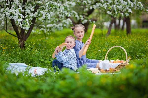 Małe Dzieci Jedzą Lunch Świeżym Powietrzu Dzieci Koszykiem Piknikowym Wiosennym — Zdjęcie stockowe