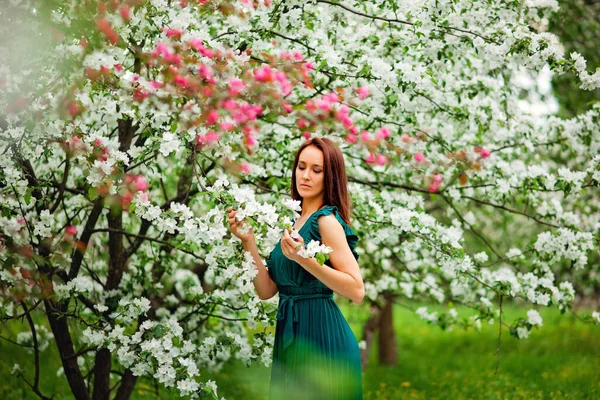 Beautiful Young Brunette Woman Standing Apple Tree Warm Summer Day — Stock Photo, Image