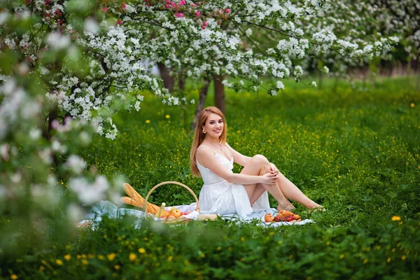 Beautiful Young Woman Having Picnic Spring Day Park Apple Blossom — Stock Photo, Image