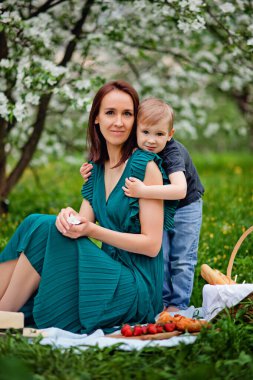 Anneler günü pikniğinde mutlu bir aile. Anne ve küçük oğlu baharda ya da yaz parkında dışarıda meyve yerler..