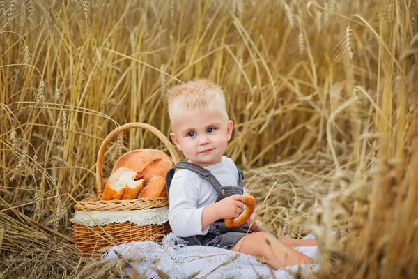 Хлопчик Пікніку Пшеничному Полі Їсть Продукти Хліба Рулонів — стокове фото