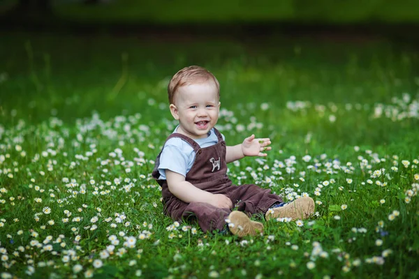 Niño Encantador Entre Hierba Verde Hermosas Margaritas Día Verano Niño — Foto de Stock