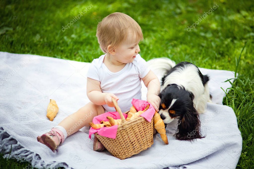 During picnic baby treats domestic dog with bit of melon