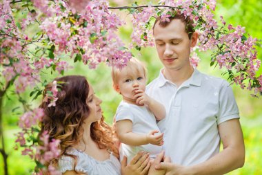 İlkbahar. Bahar sakurası çiçek açar. Sakura çiçek bahçesinde mutlu bir çift. Turist ailesi Sakura parkında yürüyor. Bahar bahçesinde mutlu bir aile. Anne baba ve küçük oğul birlikte Sakura parkında..