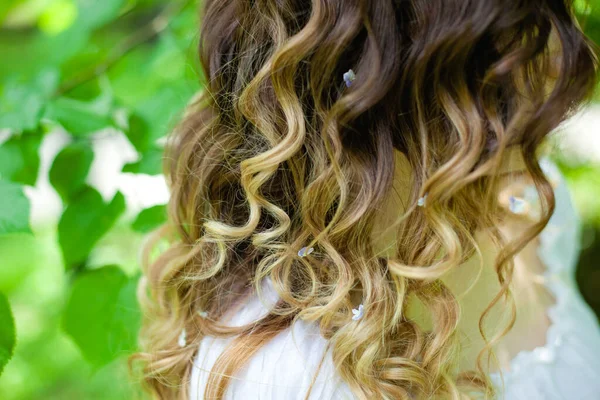 Cabello Femenino Con Corona Flores Paisaje Natural — Foto de Stock