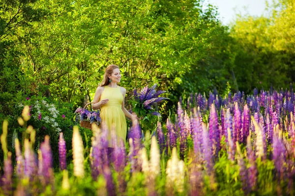 黄色のドレスの若い美しい女の子は 開花フィールドに紫色のルパンのバスケットを保持しています ルパンの花を咲かせます 環境に優しい 自然という概念 ソフトフォーカス — ストック写真
