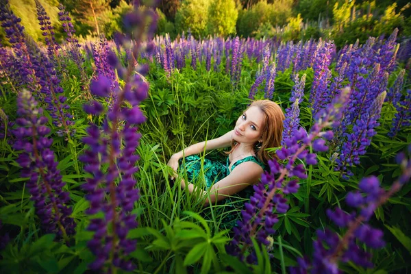 Mor Lupinlerin Içinde Çimlerin Üzerinde Oturan Genç Güzel Bir Kız — Stok fotoğraf