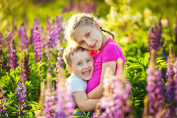Bruder Und Schwester Kuscheln Und Lachen Sommer Auf Dem Wiesenblumenfeld — Stockfoto