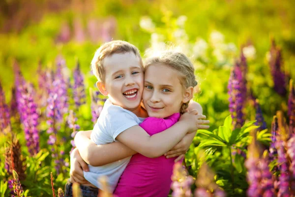 Brother Sister Hugging Laughing Wildflowers Field Summer Stock Picture