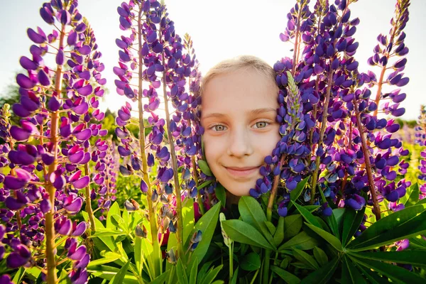 Portret Van Een Lachend Kind Een Bloeiend Lupine Veld Bij — Stockfoto