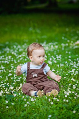 Yeşil çimenlerin ve yaz günlerinde güzel papatyaların arasında sevimli bir çocuk. Küçük bir çocuk temiz havada eğleniyor. Bebek doğayı keşfediyor