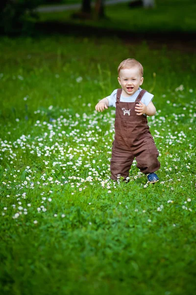 Menino Encantador Entre Grama Verde Margaridas Bonitas Dia Verão Criança — Fotografia de Stock