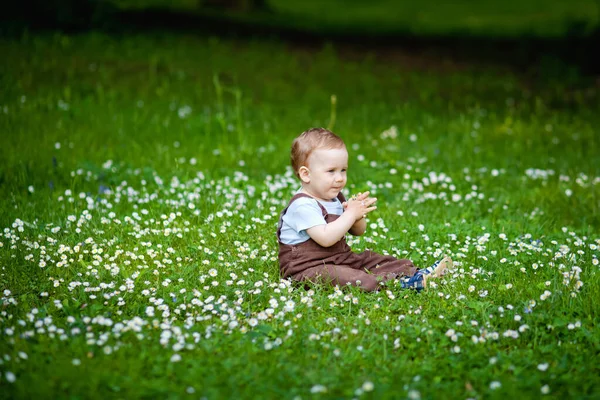 Charmanter Junge Zwischen Grünem Gras Und Schönen Gänseblümchen Einem Sommertag — Stockfoto