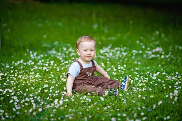 Привабливий Хлопчик Серед Зеленої Трави Чудових Маргаритів Літній День Маленька — стокове фото