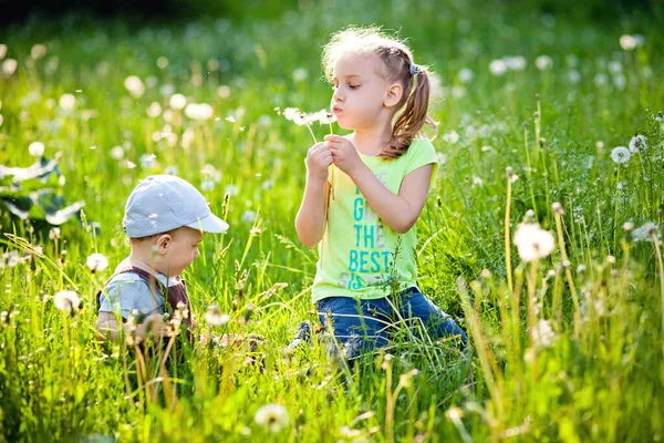 Happy Children Brother Sister Play Outdoors Dandelions Sunset Ray Sunshine — Stock Photo, Image
