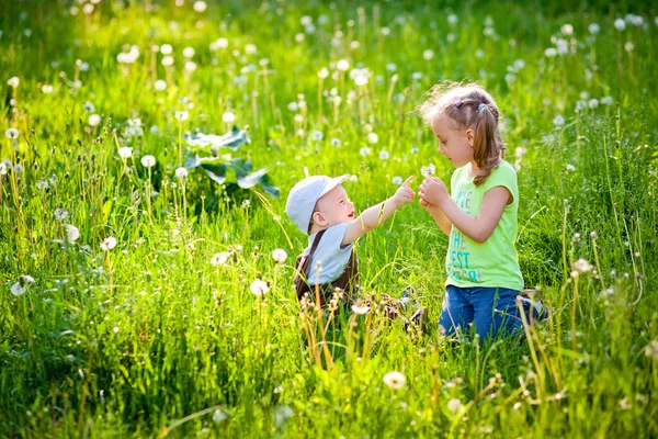 Glückliche Kinder Bruder Und Schwester Spielen Draußen Mit Löwenzahn Bei — Stockfoto