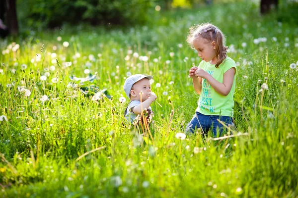 Glückliche Kinder Bruder Und Schwester Spielen Draußen Mit Löwenzahn Bei — Stockfoto