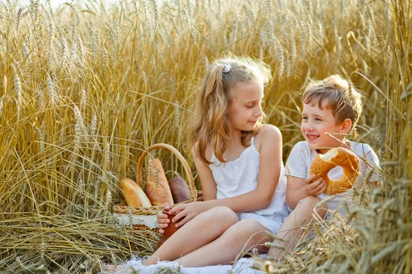 Діти Пшеничному Полі Брат Сестра Їдять Хліб Рол Багель Ють — стокове фото