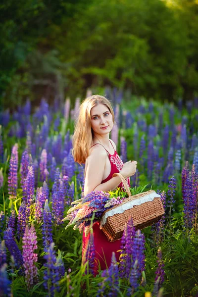 Belle Fille Avec Basketin Osier Champ Lupins Violets Dans Une — Photo
