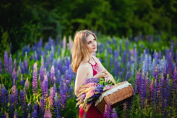 Bella Ragazza Con Cesto Vimini Campo Lupini Viola Una Giornata — Foto Stock