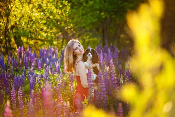 Een Meisje Een Open Plek Met Lupin Bloemen Het Bos — Stockfoto