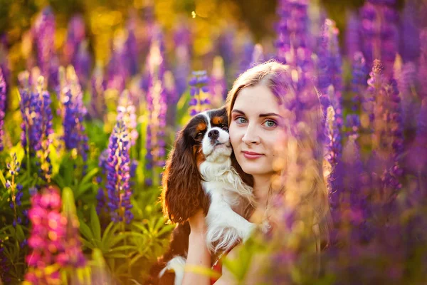 Een Meisje Een Open Plek Met Lupin Bloemen Het Bos — Stockfoto