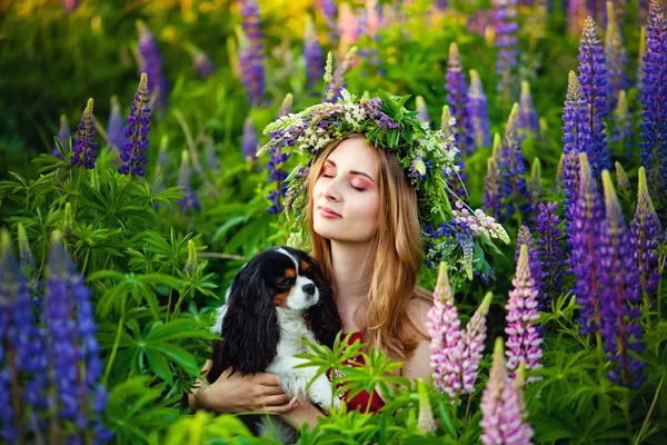 Una Ragazza Una Radura Con Fiori Lupino Nella Foresta Possesso — Foto Stock