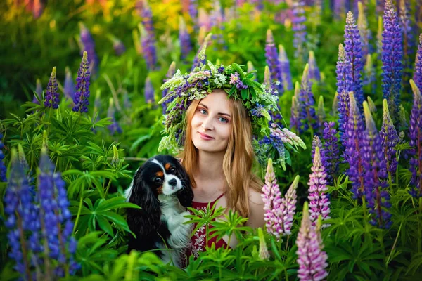 Dívka Mýtině Vlčími Květy Lese Držící Malého Psa Kavalíra Krále — Stock fotografie