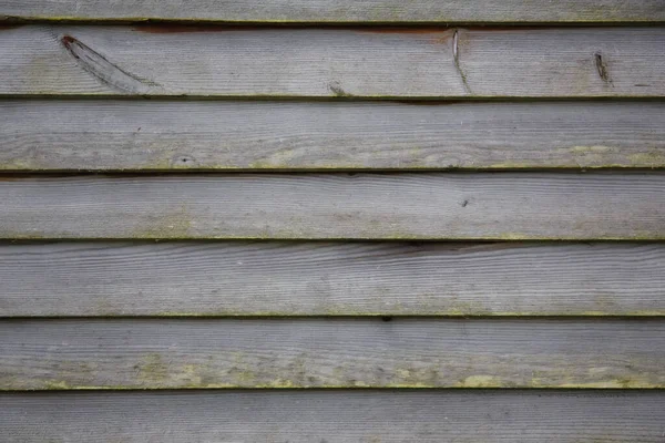 Detalle Textura Fondo Horizontal Color Natural Pared Cabina Madera — Foto de Stock