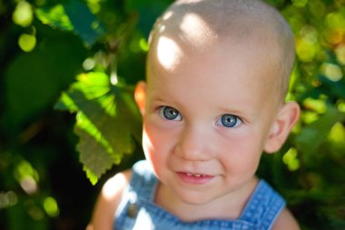 Sevimli küçük bir çocuk yazın organik bir böğürtlen çiftliğinde frenk üzümü topluyor. Yardım etmekten hoşlanan komik bir çocuk..