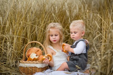 Buğday tarlasında çocuklar. Erkek ve kız kardeşler ekmek yer, rulo yapar, simit yer ve bir sütten süt içerler. Bir erkek ve bir kız hasat zamanı dışarıda oynuyorlar..