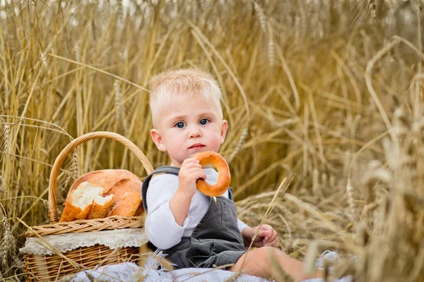 Niño Campo Trigo Hermano Come Pan Bollo Bagel Bebe Leche — Foto de Stock