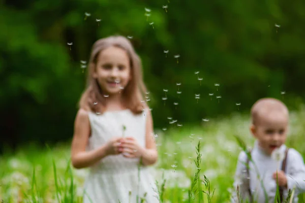 Kinder Sind Aus Dem Fokus Geraten Ein Kleiner Junge Und — Stockfoto