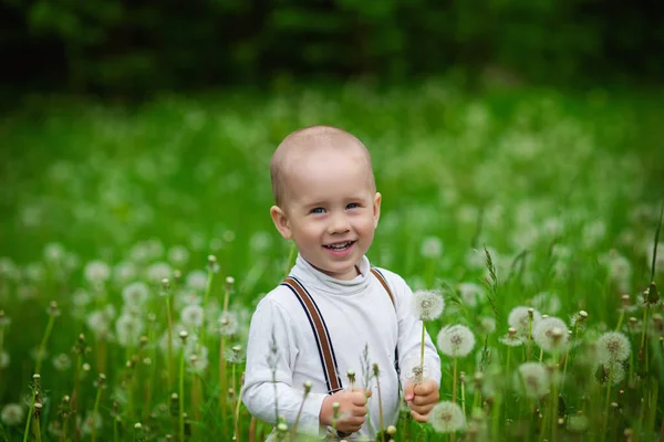 Mały Chłopiec Polu Białych Dmuchawców Wiosna Koncepcja Alergii Pyłki Kwiatowe — Zdjęcie stockowe