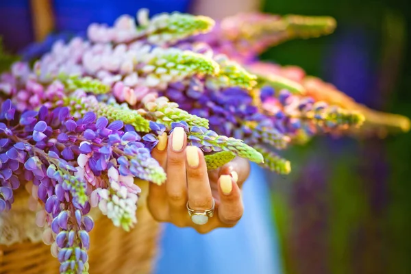 Close Mulheres Mãos Segurando Uma Cesta Com Flores Silvestres Verão — Fotografia de Stock