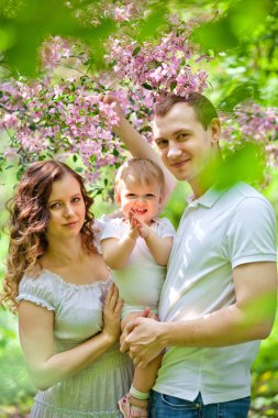 İlkbahar. Bahar sakurası çiçek açar. Sakura çiçek bahçesinde mutlu bir çift. Turist ailesi Sakura parkında yürüyor. Bahar bahçesinde mutlu bir aile. Anne baba ve küçük oğul birlikte Sakura parkında..