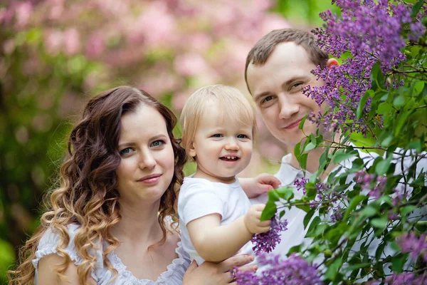 Primavera Floresce Primavera Sakura Casal Feliz Pomar Flor Sakura Passeio — Fotografia de Stock