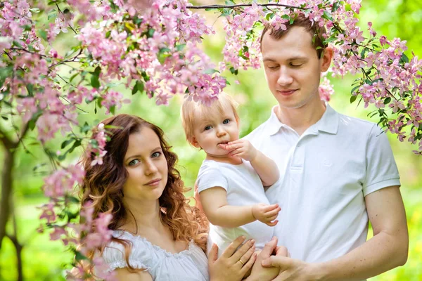 Springtime Spring Sakura Bloom Happy Couple Sakura Flower Orchard Tourist — Stock Photo, Image