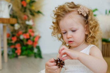 Küçük bir kız gülüyor ve çam kozalağıyla oynuyor. Şirin, genç, sarışın bir kız sınıfta Montessori tarzı ya da ev konsepti ile ders çalışıyor. Doğal maddeleri keşfeder..