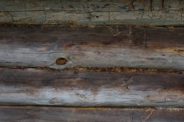 Ahşap Siyah arkaplan dokusu yüksek kaliteli yakın plan. Tasarım için arka plan olarak kullanılabilir..