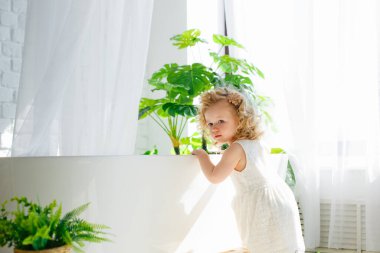 Geniş pencereleri, yeşil bitkileri ve güneşi olan bir çocuk.